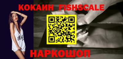 индика Пенза