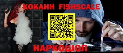 индика Пенза