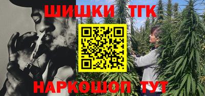 индика Пенза