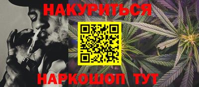 индика Пенза
