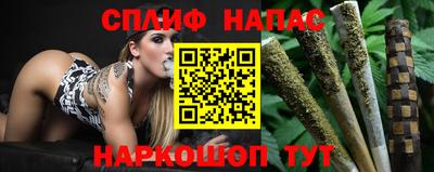индика Пенза