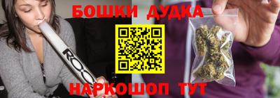 индика Пенза
