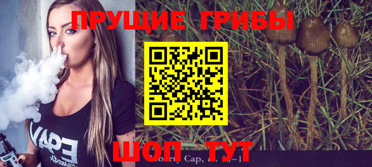 закладка  Галлюциногенные грибы MAGIC MUSHROOMS  Сегежа  Вход с VPN  Псилоцибиновые грибы ЛСД 